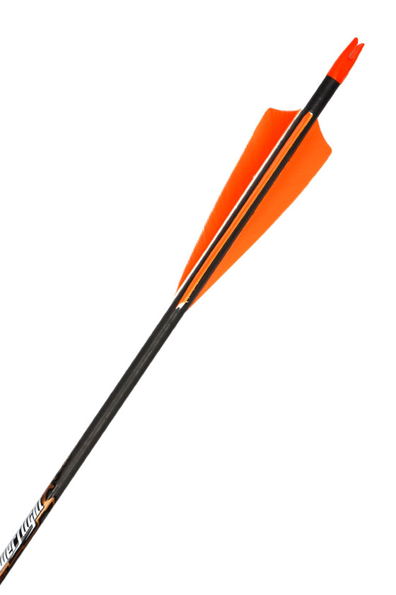 Mandarin Powerflight 500 Carbonpfeil