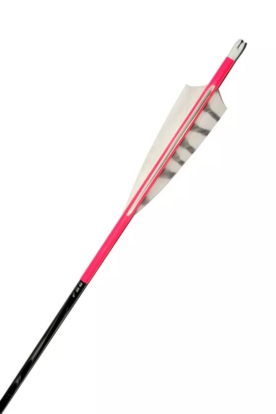 Neon Pink 30'' Inspiré 750 Carbonpfeil 