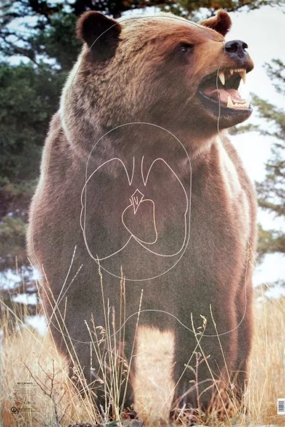 Zielscheibenauflage Tierbild Bär