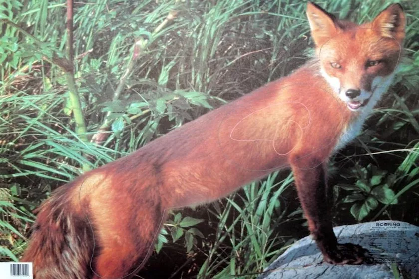 Zielscheibenauflage Tierbild Fuchs